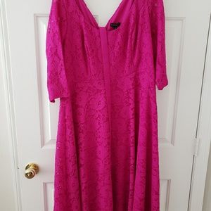 Orchid Lace Party Dress Lane Bryant